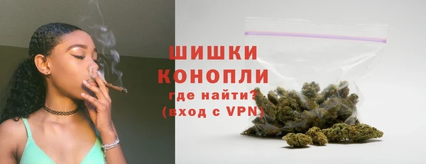 PSILOCYBIN Новокубанск
