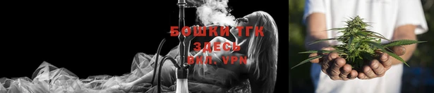 PSILOCYBIN Новокубанск
