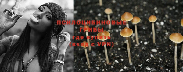 соль курить ск Новозыбков