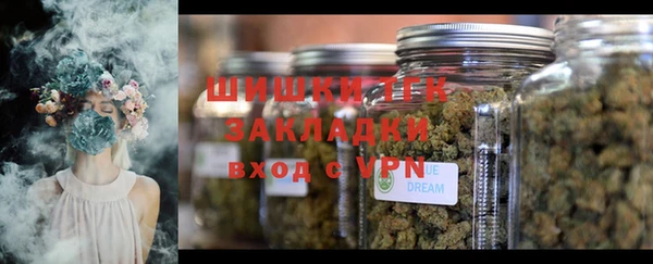 PSILOCYBIN Новокубанск