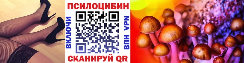 наркота  Абаза  Галлюциногенные грибы прущие грибы 